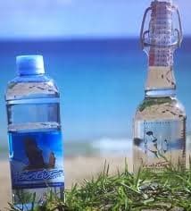 Vainativa Water Bottle